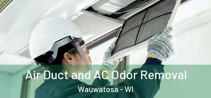  Air Duct and AC Odor Removal Wauwatosa - WI