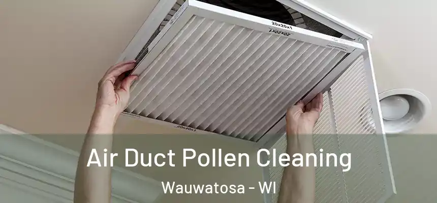  Air Duct Pollen Cleaning Wauwatosa - WI