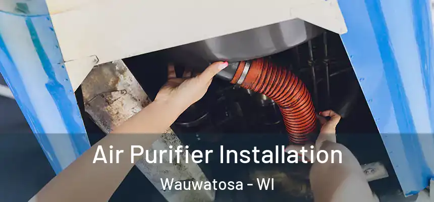  Air Purifier Installation Wauwatosa - WI