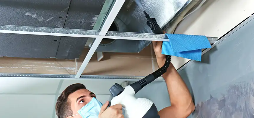 Our Air Duct Rodent Removal Services in Wauwatosa, WI