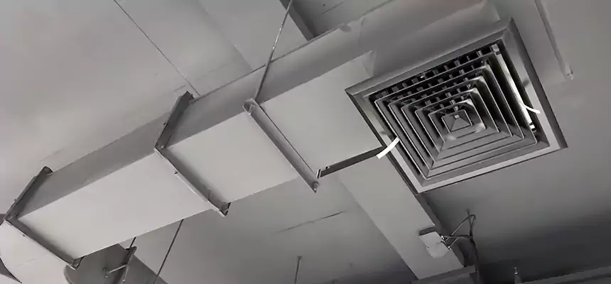 Restorative Allergy Relief Vent Cleaning – Coil, Blower & Housing Detail in Wauwatosa