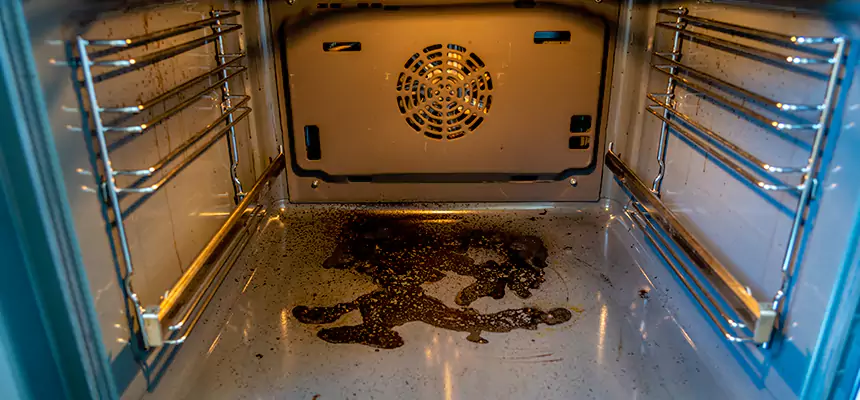 Our Dryer Vent Mold Cleaning Services in Wauwatosa, WI