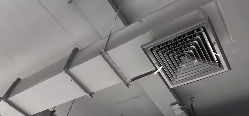 Our Rodent Droppings In Vents Services in Wauwatosa, WI