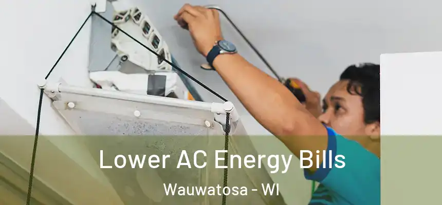 Lower AC Energy Bills Wauwatosa - WI