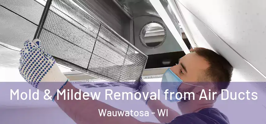  Mold & Mildew Removal from Air Ducts Wauwatosa - WI