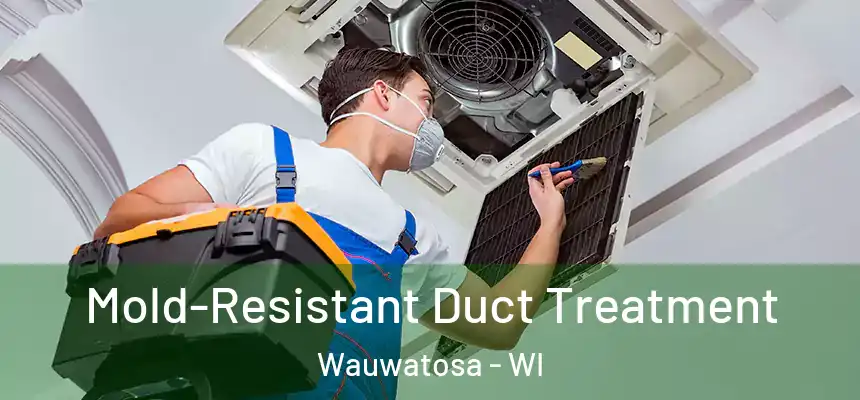  Mold-Resistant Duct Treatment Wauwatosa - WI