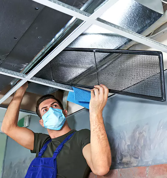 About Air Duct Bacteria Removal in Wauwatosa