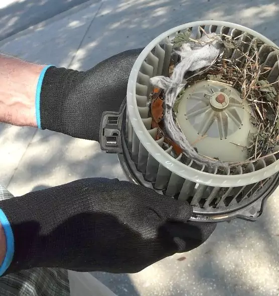 About Air Duct Rat Removal in Wauwatosa, WI