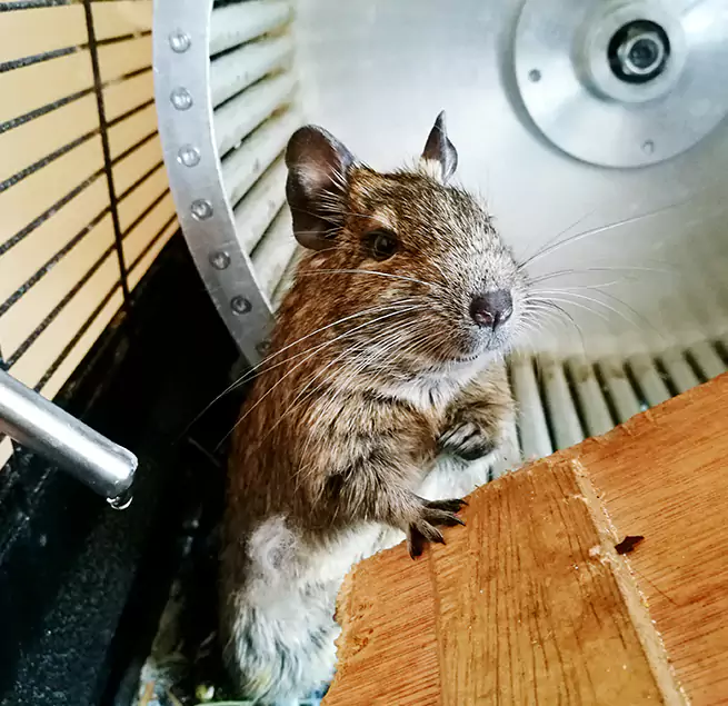 Why Homeowners & Businesses Trust Us Wauwatosa, WI?