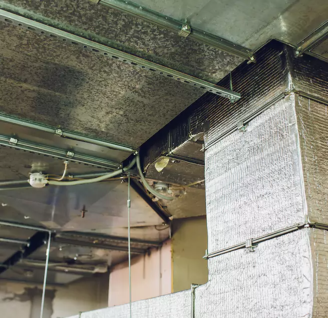 Why Homeowners & Businesses Trust Us in Wauwatosa, WI?