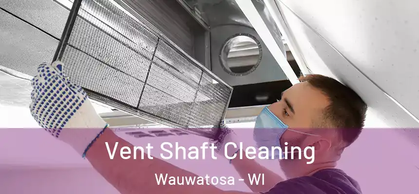  Vent Shaft Cleaning Wauwatosa - WI